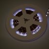 striptec-ip20-24v-rgbcct-100mm-cuttable-led-strip-light-19w-p-m-5-meters-10-meters-50-meters-5