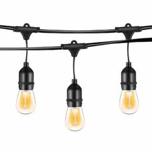 FESTOON