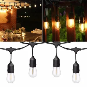 FESTOON